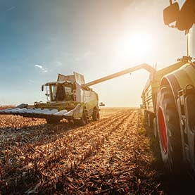 Farmers in the field